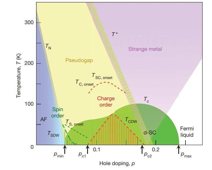 Temperature–doping phase diagram of the cuprates