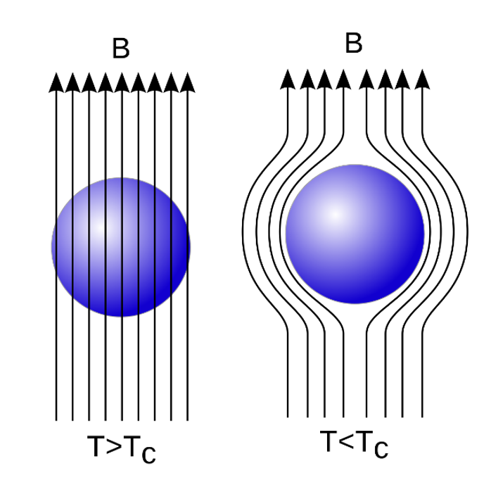 The Meissner effect: a superconductor expels magnetic flux from its interior.